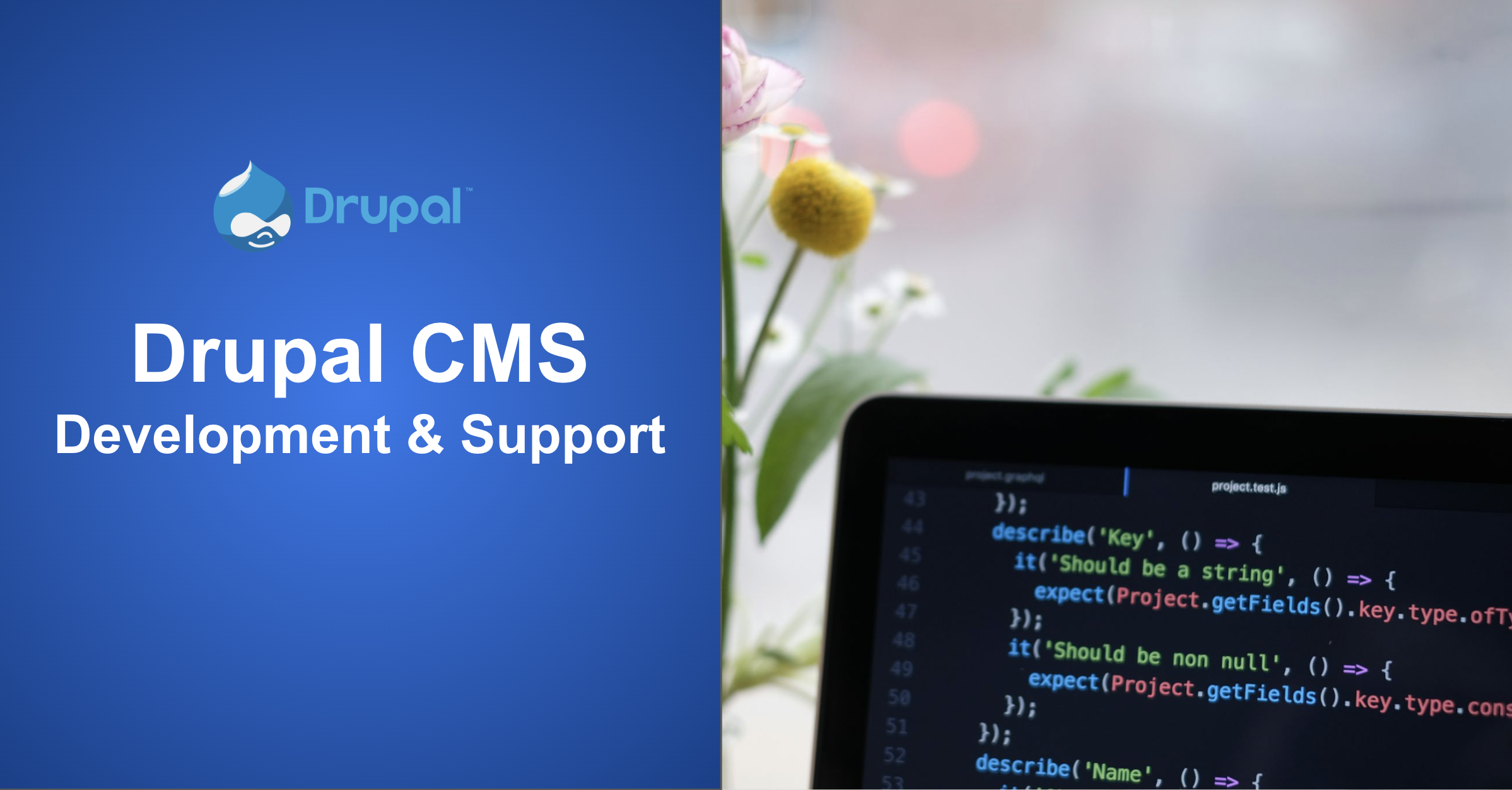 Drupal CMS Development & Support